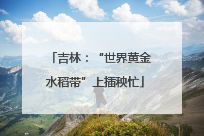 吉林：“世界黄金水稻带”上插秧忙