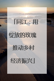 同江：用绽放的玫瑰 推动乡村经济振兴