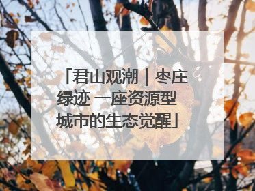 君山观潮｜枣庄绿迹 一座资源型城市的生态觉醒