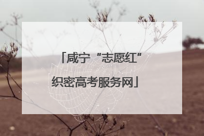 咸宁“志愿红”织密高考服务网