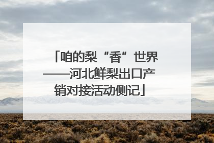 咱的梨“香”世界——河北鲜梨出口产销对接活动侧记