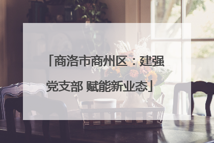 商洛市商州区：建强党支部 赋能新业态