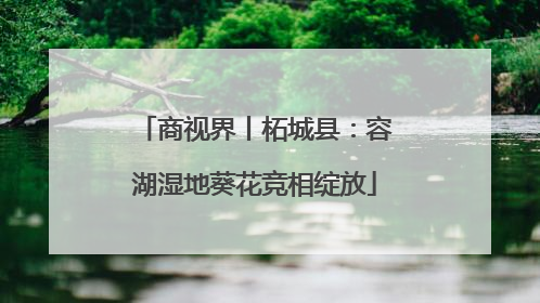 商视界丨柘城县：容湖湿地葵花竞相绽放