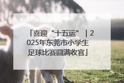 喜迎“十五运”｜2025年东莞市小学生足球比赛圆满收官