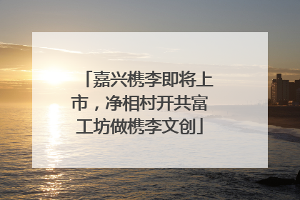 嘉兴槜李即将上市，净相村开共富工坊做槜李文创