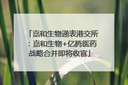 嘉和生物递表港交所：嘉和生物+亿腾医药战略合并即将收官