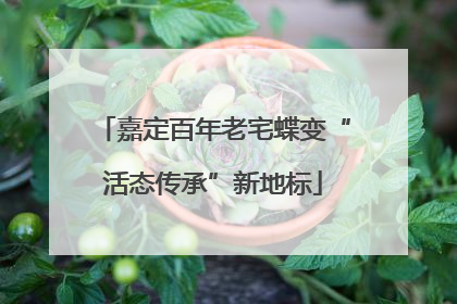 嘉定百年老宅蝶变“活态传承”新地标