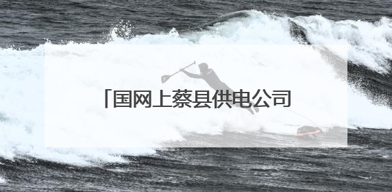 国网上蔡县供电公司：供电服务在身边 安全咨询“零距离”