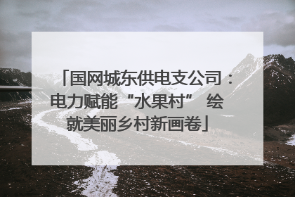 国网城东供电支公司：电力赋能“水果村” 绘就美丽乡村新画卷