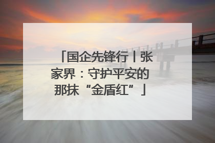 国企先锋行丨张家界：守护平安的那抹“金盾红”