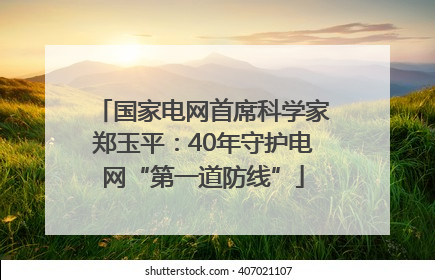国家电网首席科学家郑玉平：40年守护电网“第一道防线”