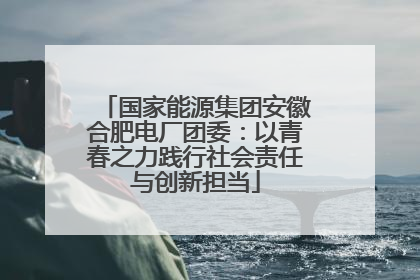 国家能源集团安徽合肥电厂团委：以青春之力践行社会责任与创新担当