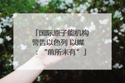 国际原子能机构警告以色列 以媒：“前所未有”