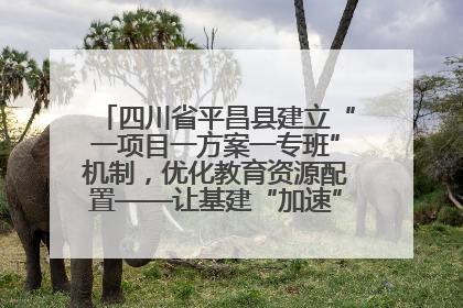 四川省平昌县建立“一项目一方案一专班”机制，优化教育资源配置——让基建“加速”，为成长“铺路”