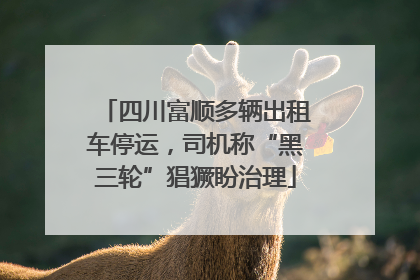 四川富顺多辆出租车停运，司机称“黑三轮”猖獗盼治理