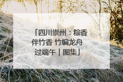 四川崇州：粽香伴竹香 竹编龙舟过端午｜图集