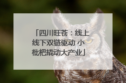 四川旺苍：线上线下双链驱动 小枇杷撬动大产业