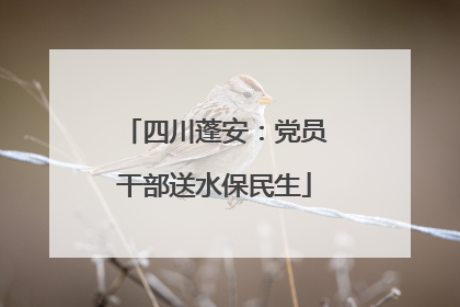 四川蓬安：党员干部送水保民生