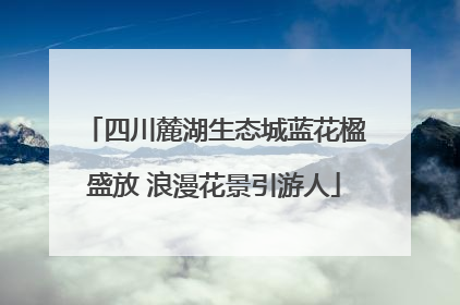 四川麓湖生态城蓝花楹盛放 浪漫花景引游人