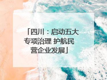 四川：启动五大专项治理 护航民营企业发展