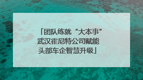 团队练就“大本事” 武汉霍尼特公司赋能头部车企智慧升级