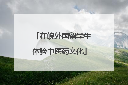 在皖外国留学生体验中医药文化