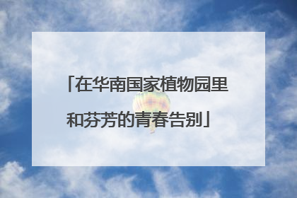 在华南国家植物园里和芬芳的青春告别