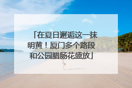 在夏日邂逅这一抹明黄！厦门多个路段和公园腊肠花盛放