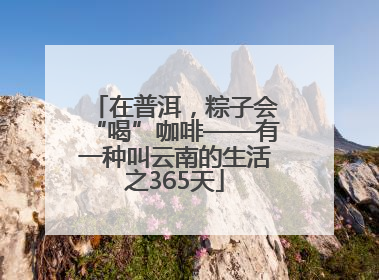 在普洱，粽子会“喝”咖啡——有一种叫云南的生活之365天