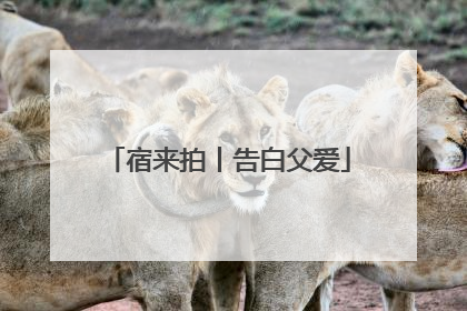 宿来拍丨告白父爱
