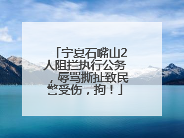 宁夏石嘴山2人阻拦执行公务，辱骂撕扯致民警受伤，拘！
