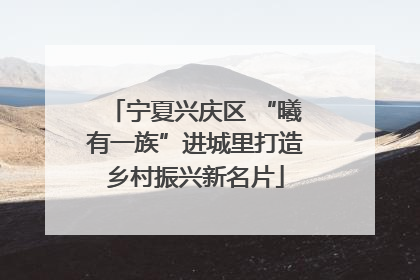 宁夏兴庆区 “曦有一族”进城里打造乡村振兴新名片