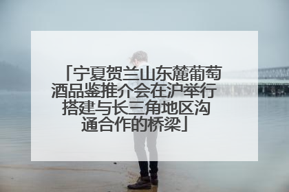 宁夏贺兰山东麓葡萄酒品鉴推介会在沪举行 搭建与长三角地区沟通合作的桥梁