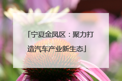宁夏金凤区：聚力打造汽车产业新生态