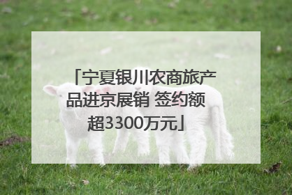 宁夏银川农商旅产品进京展销 签约额超3300万元