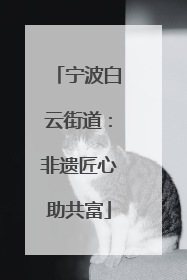 宁波白云街道：非遗匠心助共富