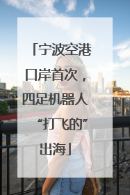 宁波空港口岸首次，四足机器人“打飞的”出海