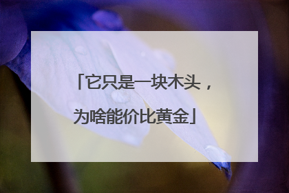 它只是一块木头，为啥能价比黄金