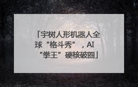 宇树人形机器人全球“格斗秀”，AI“拳王”硬核破圈
