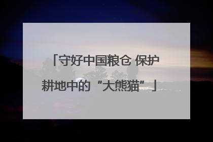 守好中国粮仓 保护耕地中的“大熊猫”