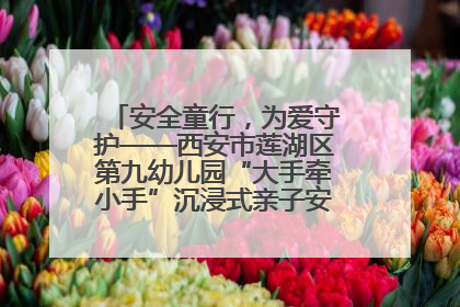 安全童行，为爱守护——西安市莲湖区第九幼儿园“大手牵小手”沉浸式亲子安全体验活动
