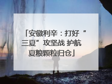 安徽利辛：打好“三夏”攻坚战 护航夏粮颗粒归仓