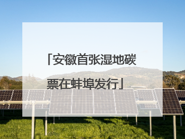 安徽首张湿地碳票在蚌埠发行