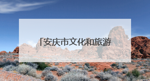 安庆市文化和旅游产业协会正式成立