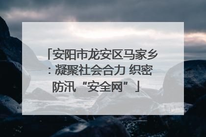 安阳市龙安区马家乡：凝聚社会合力 织密防汛“安全网”