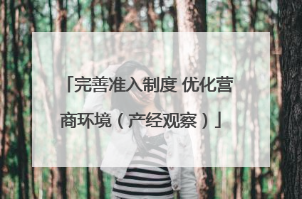 完善准入制度 优化营商环境（产经观察）