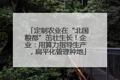 定制农业在“北国粮都”茁壮生长！企业：用算力指导生产，扁平化管理种地