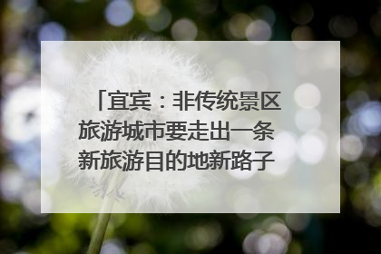 宜宾：非传统景区旅游城市要走出一条新旅游目的地新路子｜话锦绣·说安逸