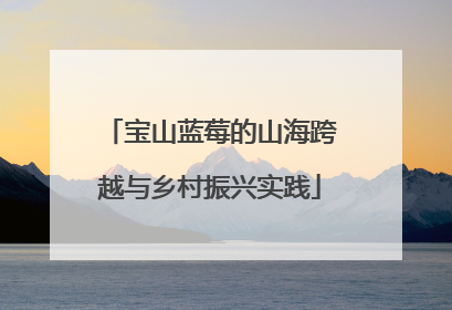 宝山蓝莓的山海跨越与乡村振兴实践