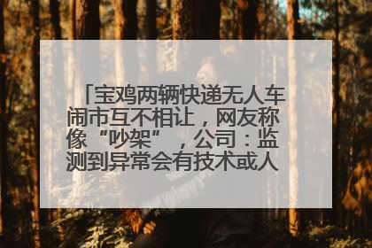 宝鸡两辆快递无人车闹市互不相让，网友称像“吵架”，公司：监测到异常会有技术或人为干预处置